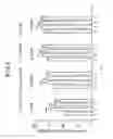 Fig. 03 - Cosmetic method for promoting recovery of skin barrier function using sound wave having a specific frequency