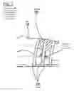 Fig. 03 - Range of Motion and Similar Devices with Temperature Controlled Fluids