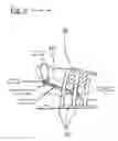 Fig. 07 - Range of Motion and Similar Devices with Temperature Controlled Fluids
