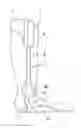 Fig. 01 - Lower limb joint orthosis and control method therefor