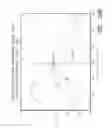 Fig. 45 - APPARATUS AND METHOD FOR SHAPED MAGNETIC FIELD CONTROL FOR CATHETER, GUIDANCE, CONTROL, AND IMAGING