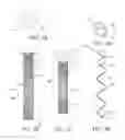 Fig. 06 - CONFORMAL CANNULA DEVICE AND RELATED METHODS