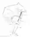 Fig. 01 - OPTICAL READER FOR SYRINGE