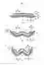 Fig. 04 - ABSORBENT ARTICLE AND METHOD FOR MANUFACTURING ABSORBENT ARTICLE