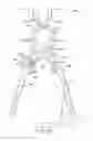 Fig. 07 - Prosthetic inserter