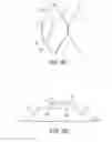 Fig. 06 - Apparatus and method for hair removal
