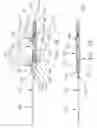 Fig. 33 - SURGICAL REPAIR KIT AND ITS METHOD OF USE