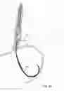 Fig. 76 - Method for fastening a hinged surgical fastener on tissue