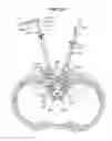 Fig. 40 - LOW PROFILE SPINAL PROSTHESIS INCORPORATING A CANNULATED BONE ANCHOR HAVING A DEFLECTABLE POST AND A COMPOUND SPINAL ROD