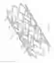 Fig. 17 - LONGITUDINALLY FLEXIBLE EXPANDABLE STENT