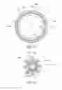 Fig. 07 - Prosthetic valve for transluminal delivery