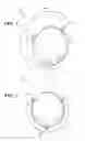 Fig. 02 - Breast and nipple implant constructions