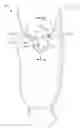 Fig. 01 - TRANSTIBIAL SOCKET FOR EXTERNAL PROSTHESIS