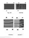 Fig. 10 - HIGH RESOLUTION ATTRIBUTES FOR SEISMIC DATA PROCESSING AND INTERPRETATION
