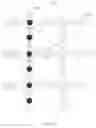 Fig. 08 - REMOVING GROUND ROLL FROM GEOPHYSICAL DATA