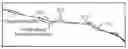 Fig. 01 - Vertical curve system for surface grading