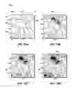 Fig. 12 - Method for optimization with gradient information