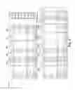 Fig. 12 - Retail planning application and method for consumer products