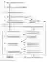 Fig. 11 - Fraud Deterrence for Electronic Transactions