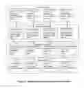 Fig. 10 - Object oriented system for managing complex financial instruments