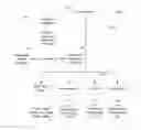 Fig. 01 - INTEGRATED TRADING INFORMATION PROCESSING AND TRANSMISSION SYSTEM FOR EXEMPT SECURITIES