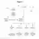 Fig. 02 - INTEGRATED TRADING INFORMATION PROCESSING AND TRANSMISSION SYSTEM FOR EXEMPT SECURITIES