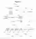 Fig. 14 - INTEGRATED TRADING INFORMATION PROCESSING AND TRANSMISSION SYSTEM FOR EXEMPT SECURITIES