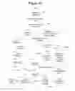 Fig. 17 - INTEGRATED TRADING INFORMATION PROCESSING AND TRANSMISSION SYSTEM FOR EXEMPT SECURITIES