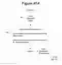 Fig. 24 - INTEGRATED TRADING INFORMATION PROCESSING AND TRANSMISSION SYSTEM FOR EXEMPT SECURITIES