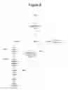 Fig. 30 - INTEGRATED TRADING INFORMATION PROCESSING AND TRANSMISSION SYSTEM FOR EXEMPT SECURITIES