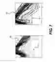 Fig. 07 - TOXIN DETECTION SYSTEM AND METHOD