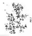 Fig. 04 - Data graphing methods, articles of manufacture, and computing devices