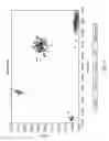 Fig. 06 - Computer algorithm for automatic allele determination from fluorometer genotyping device