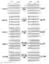 Fig. 05 - System of rotating data in a plurality of processing elements
