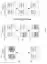Fig. 05 - Generation of standby images of applications