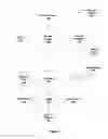 Fig. 02 - Hard memory array failure recovery utilizing locking structure