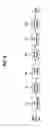 Fig. 07 - Digital broadcasting system and method of processing data in the digital broadcasting system