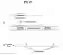 Fig. 40 - Digital broadcasting system and method of processing data in the digital broadcasting system
