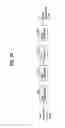 Fig. 55 - Digital broadcasting system and method of processing data in the digital broadcasting system