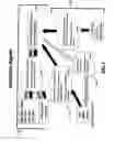 Fig. 05 - Geo-trip notes