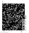 Fig. 06 - Attraction-based data visualization