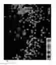 Fig. 08 - Attraction-based data visualization