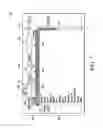 Fig. 08 - Filtering objects in a multi-tenant environment