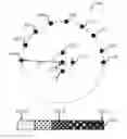 Fig. 01 - Methods and systems for setting parameter values via radial input gestures
