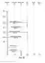 Fig. 07 - SCALABLE NAT TRAVERSAL