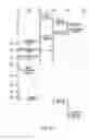 Fig. 09 - SCALABLE NAT TRAVERSAL