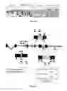 Fig. 03 - CASPASE-8 AND SKIN DISEASE