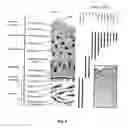 Fig. 11 - CASPASE-8 AND SKIN DISEASE