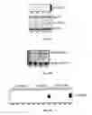 Fig. 17 - CASPASE-8 AND SKIN DISEASE