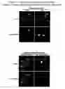 Fig. 04 - Targeted and regional cellular ablation in zebrafish